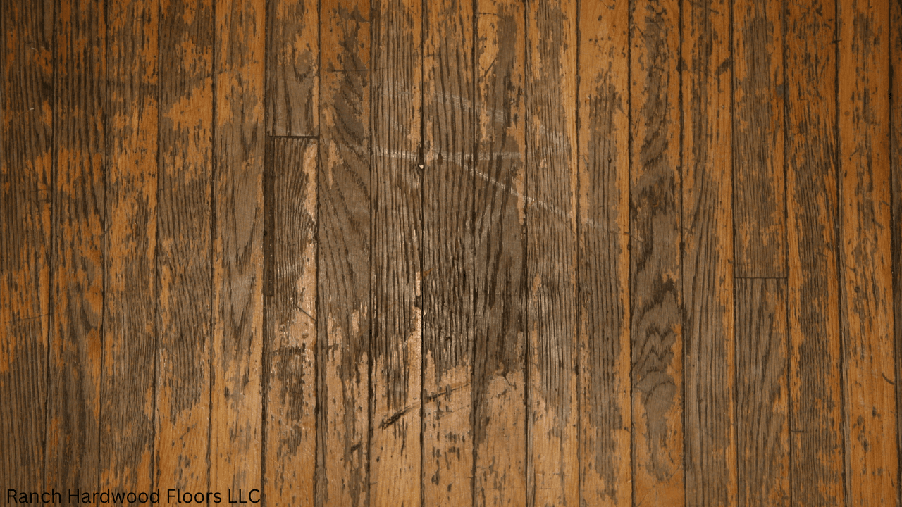 5 Common Mistakes in Hardwood Floor Maintenance